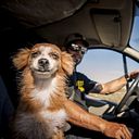 Víctor Rodríguez Suárez