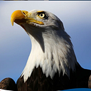 Leonardo Pelagio Gomez