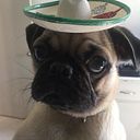 Ricardo Belmonte Esquiliano