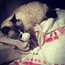 Alejandra Montes de Oca