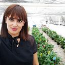 María de Jesús Ibáñez Barboza