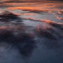 Alejandra Bernal Dalmases