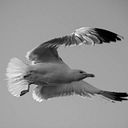 Mar Jabalquinto Rodriguez