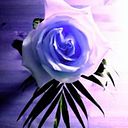 Esther López García