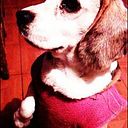 Ana Oyaneder Alvarez