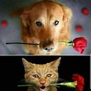 Paula Andrea Varas Cortes