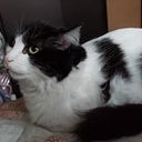 Karol Lizeth Mendoza Bernal