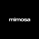mimosa