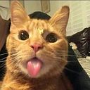 luisdanielparedes777