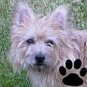 Janice Cullen Collyer