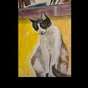 Damián Rodríguez Puime Gómez