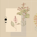 Julian Felipe Becerra