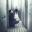 Fernando Olaya Zambrano