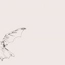 Magdalena Cabrera Betancourt