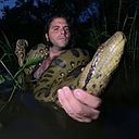 René Villanueva Maldonado