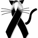 Yeraldy Jara Cachique