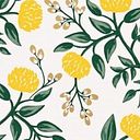 carolinavidalfernandes9