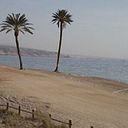 Carmen Medina Vilchez