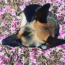 Borja Moreno Gallego