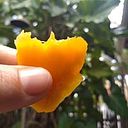 Valentina Etchart Giachero