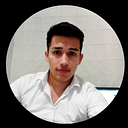 Camilo Andres Mora Sanchez