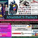 Analithics Parleys