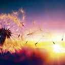 katherine_henriquez_leal