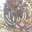 Ana Fernández Matarán