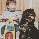 Clauss Morgenstern Fonseca