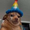 Vicente Suárez Luna