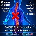Noe Cruz