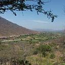 Harold López Infante