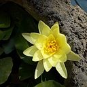 Elizabeth Rosario Gutierrez Michuy