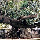 Danisa Valderrama Farías