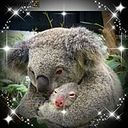 Margarita Maria Salazar Gomez