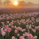 Vanessa González Dorta