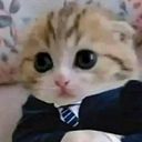 Juan Manuel Ceballos Aldana