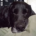 Gabriel Cobas Camarri