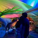 Hector Manuel Zazueta Islas