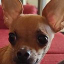 Angie Villalobos Martínez