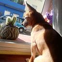 Kai Rodríguez García