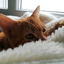 Beatriz Nogales Cruz