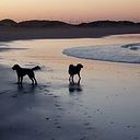 Coral Martinez Moreno