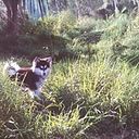 Leslie Katherine Caceres Villarreal