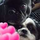 Elisabeth Maria Costa Calderaro