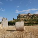 jaime_moreno_tamaran