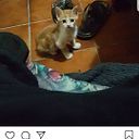 Sonia Roldán Vargas