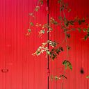 M.Ángeles Hernández