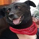 Shim Inostroza Mahnke