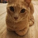 Stavroula Epitropaki